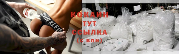 индика Белая Холуница