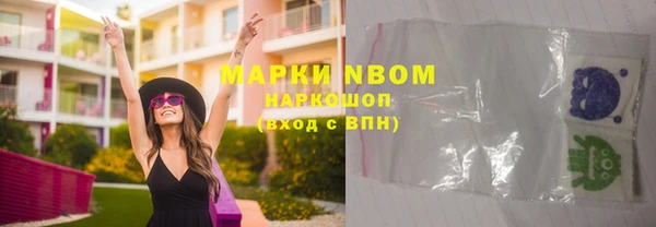 стаф Михайловск