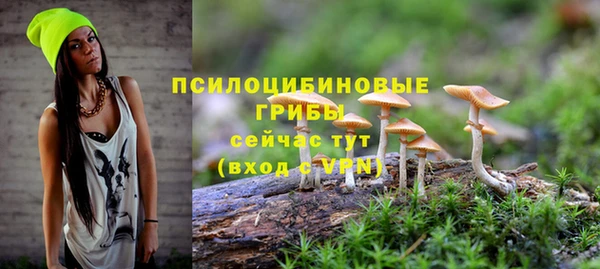 стаф Михайловск