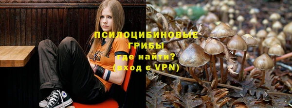 стаф Михайловск