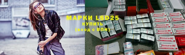 стаф Михайловск