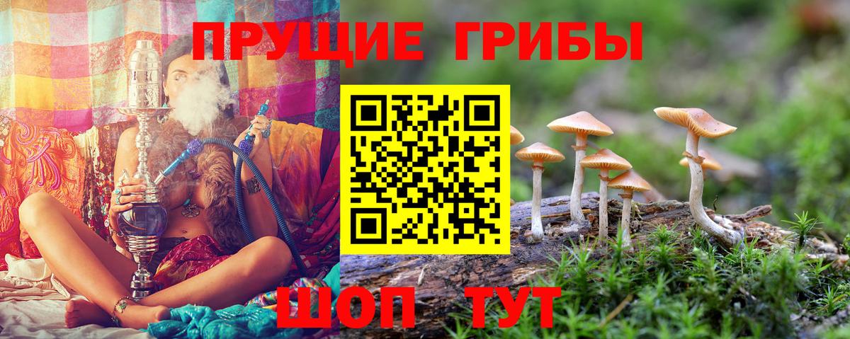 наркотики  Псилоцибиновые грибы Psilocybine cubensis  Димитровград  Псилоцибиновые грибы ЛСД 