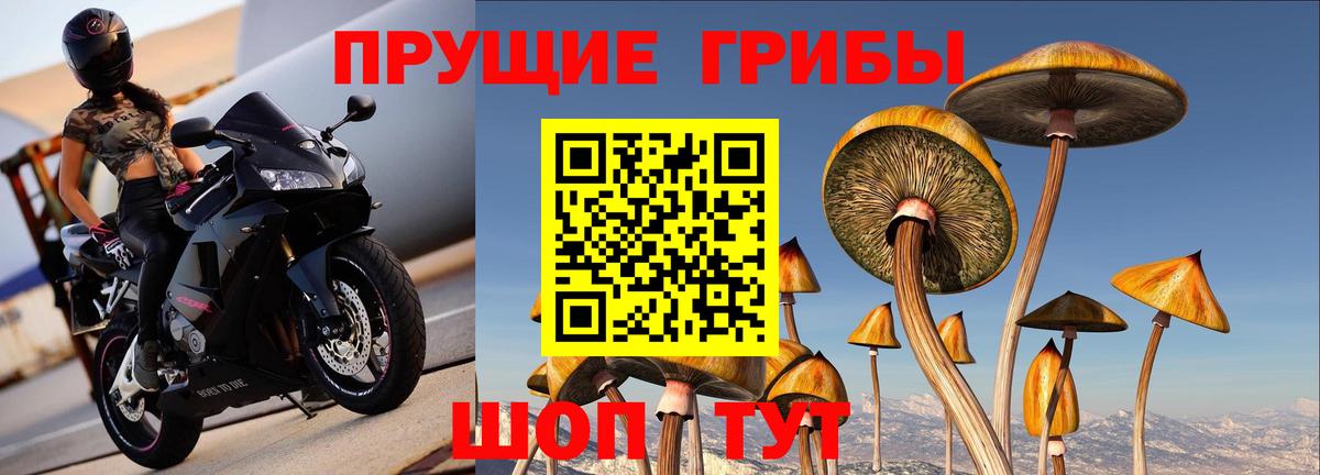 Псилоцибиновые грибы ЛСД  Вход с VPN  Димитровград 