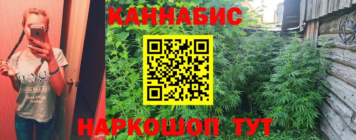 Шишки марихуана тримм  Бошки Шишки Bruce Banner  Конопля марихуана  Вход с VPN  Димитровград 